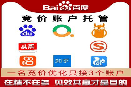 某知名企业SEM外包项目的成功经验分享